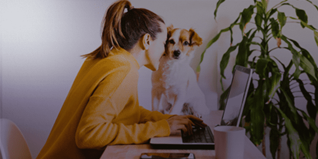 Imagem de mulher sentada em frente ao computador fazendo carinho em cachorro com sua cabeça
